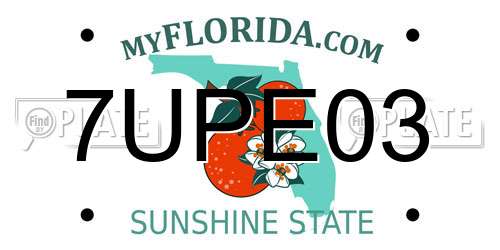 7UPE03 Florida License Plate