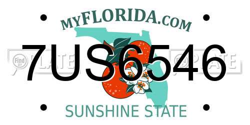 7US6546 Florida License Plate