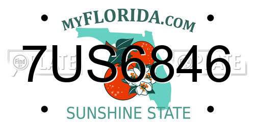 7US6846 Florida License Plate