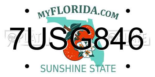 7USG846 Florida License Plate