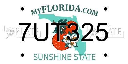 7UT325 Florida License Plate