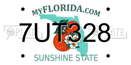 7UT328 Florida License Plate