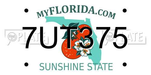 7UT375 Florida License Plate