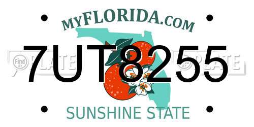 7UT8255 Florida License Plate