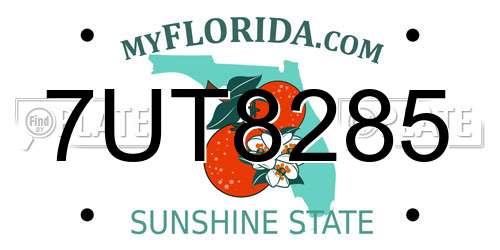 7UT8285 Florida License Plate