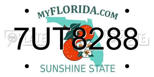 7UT8288 Florida License Plate