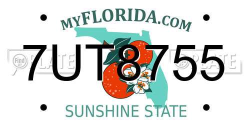 7UT8755 Florida License Plate