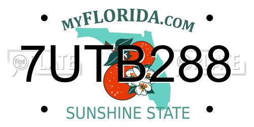 7UTB288 Florida License Plate