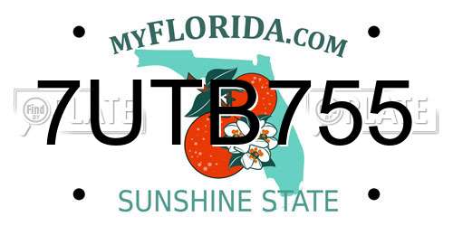 7UTB755 Florida License Plate