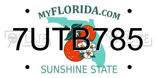 7UTB785 Florida License Plate