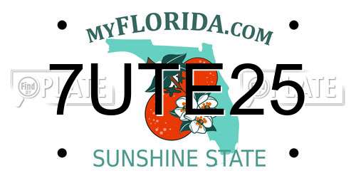 7UTE25 Florida License Plate