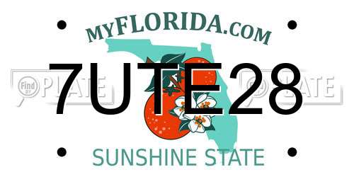 7UTE28 Florida License Plate