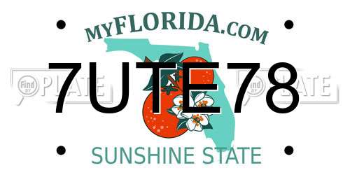 7UTE78 Florida License Plate