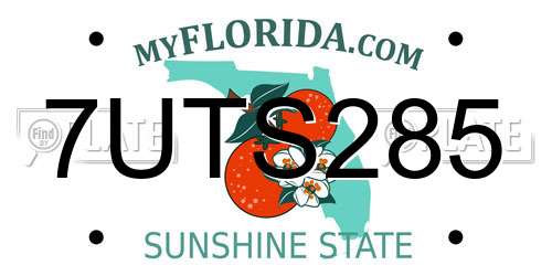 7UTS285 Florida License Plate