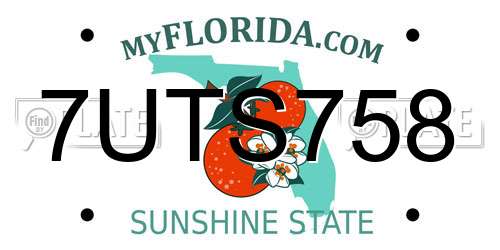 7UTS758 Florida License Plate