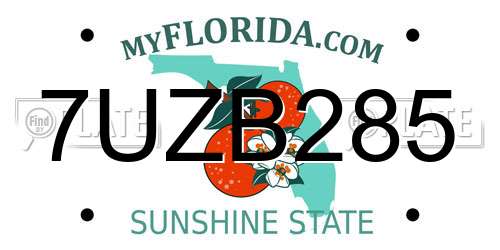 7UZB285 Florida License Plate