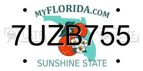 7UZB755 Florida License Plate