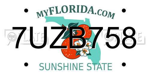 7UZB758 Florida License Plate