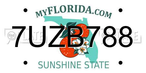 7UZB788 Florida License Plate