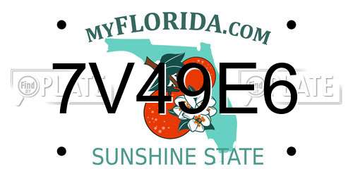7V49E6 Florida License Plate