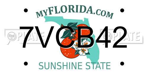 7VCB42 Florida License Plate