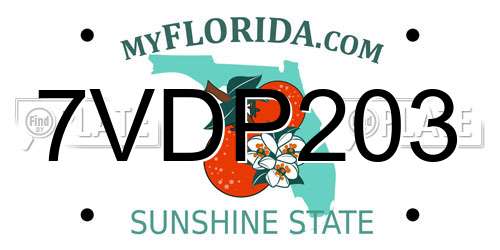 7VDP203 Florida License Plate