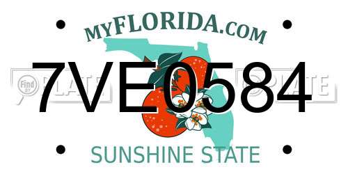 7VE0584 Florida License Plate