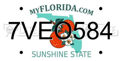 7VEO584 Florida License Plate