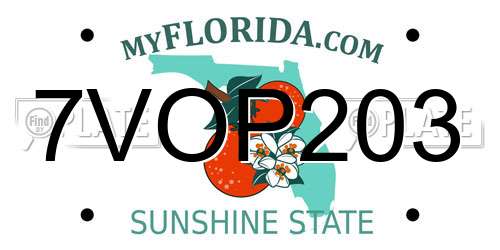 7VOP203 Florida License Plate