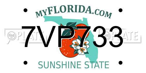 7VP733 Florida License Plate