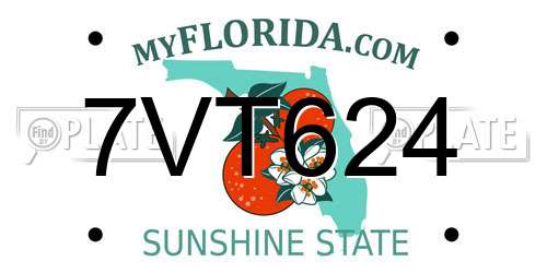 7VT624 Florida License Plate