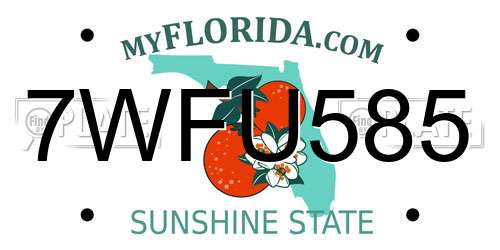 7WFU585 Florida License Plate
