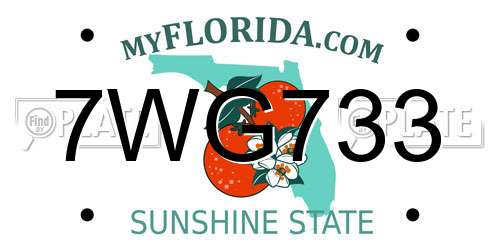 7WG733 Florida License Plate
