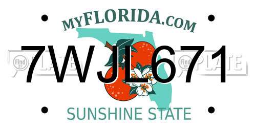 7WJL671 Florida License Plate