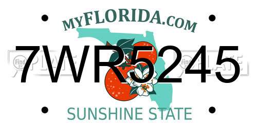 7WR5245 Florida License Plate