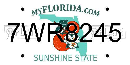 7WR8245 Florida License Plate