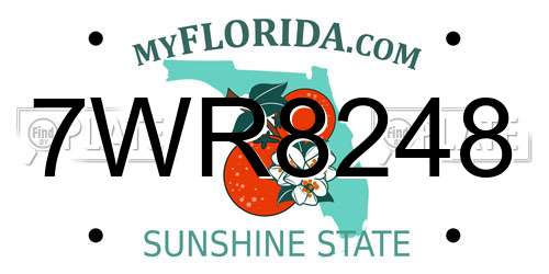 7WR8248 Florida License Plate