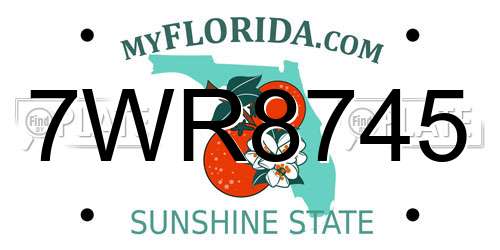 7WR8745 Florida License Plate