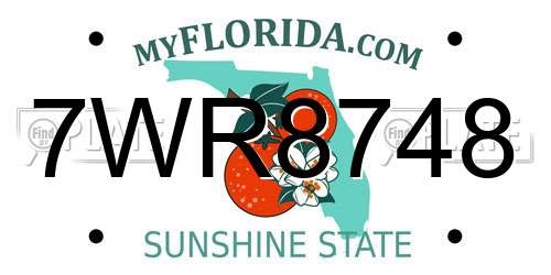 7WR8748 Florida License Plate