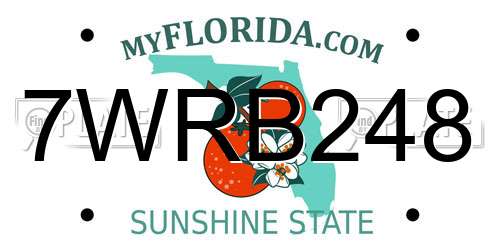 7WRB248 Florida License Plate
