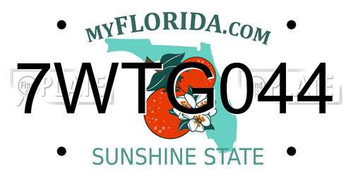 7WTG044 Florida License Plate