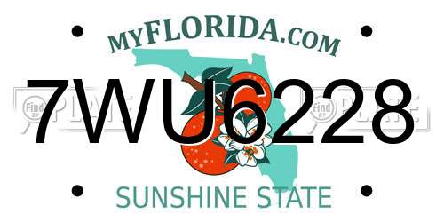 7WU6228 Florida License Plate