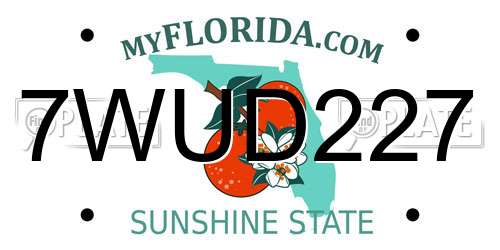 7WUD227 Florida License Plate