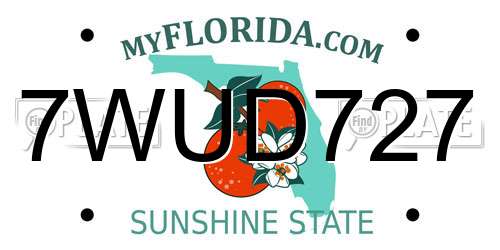 7WUD727 Florida License Plate