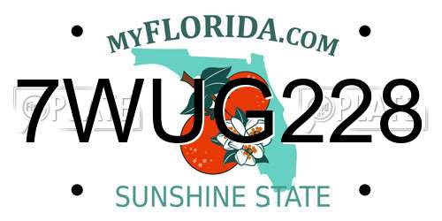 7WUG228 Florida License Plate