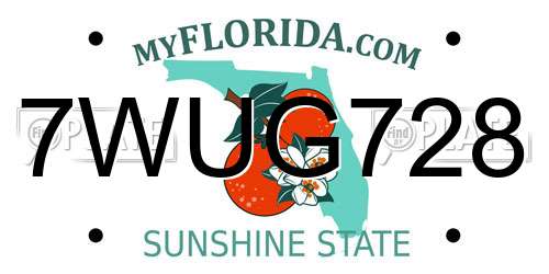 7WUG728 Florida License Plate