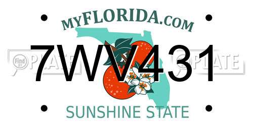 7WV431 Florida License Plate