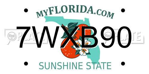 7WXB90 Florida License Plate