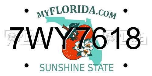 7WY7618 Florida License Plate