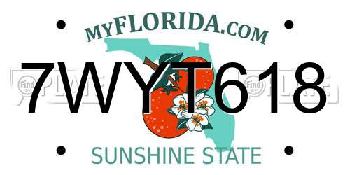 7WYT618 Florida License Plate